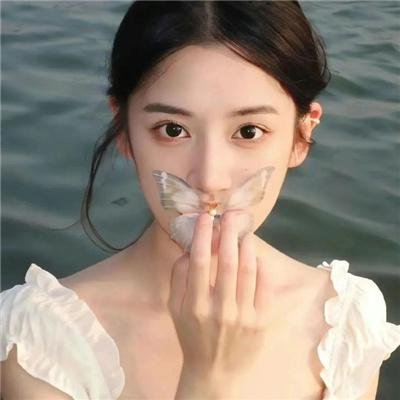 血蝉